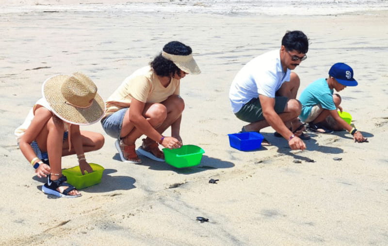 Huatulco:Turtle release,horseback riding and bioluminescence - The Significance of Visiting La Escobilla Ecotourism Center and Turtle Camp