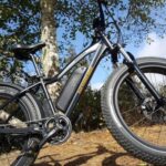 Humboldt: Electric Bike Rentals (4-Hour or Full Day options) - The E-Bike Fleet: Fully Charged Rad Power Bikes