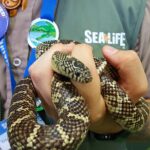 Hunstanton SEA LIFE Sanctuary General Admission Ticket - Location and Easy Access in Norwich