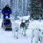 Husky safari - The Husky Sled Ride and Alternative Kart Option