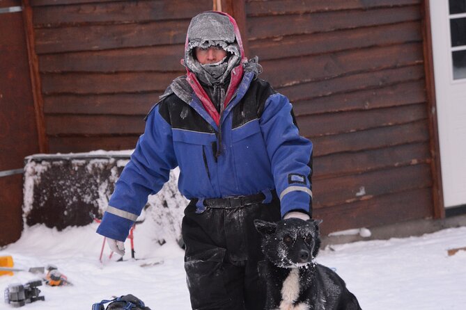 Husky Tour Sit and Drive Combo Tour from Kiruna - Meeting the Huskies at the Kennel