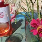 Hvar Small Group Wine Tour and Authentic Dalmatian Dinner - Scenic Stops and Views on the Old Road