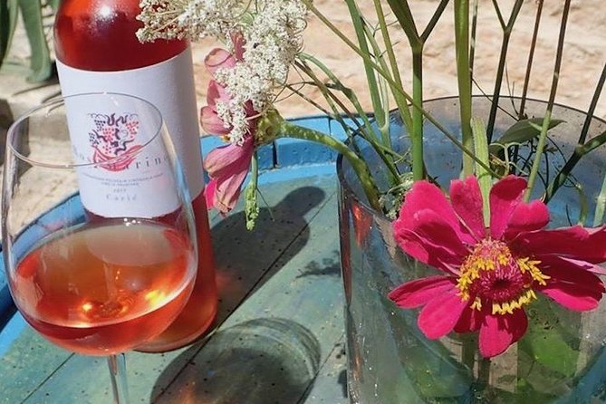 Hvar Small Group Wine Tour and Authentic Dalmatian Dinner - Scenic Stops and Views on the Old Road