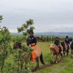 Hveragerdi: Reykjadalur (Hotspring Valley) Horse Riding Tour - How the Tour Begins at the Free Parking Lot Near Hveragerdi