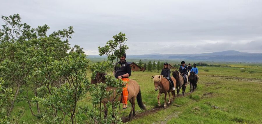 Hveragerdi: Reykjadalur (Hotspring Valley) Horse Riding Tour - How the Tour Begins at the Free Parking Lot Near Hveragerdi