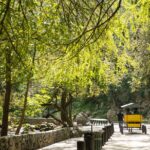 IBO Roller Zip in Cola de Caballo - Experience the Super Roller Zip: A Unique Flight Over Nature