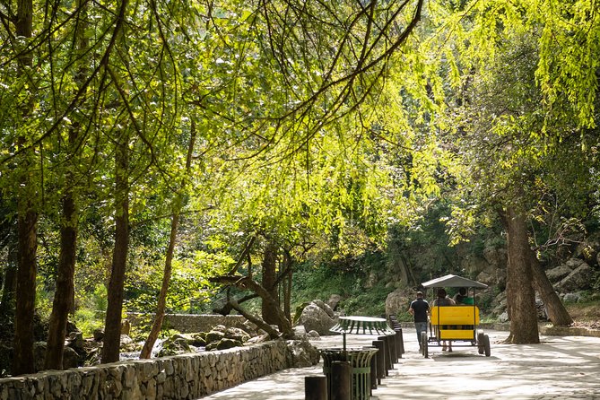 IBO Roller Zip in Cola de Caballo - Experience the Super Roller Zip: A Unique Flight Over Nature