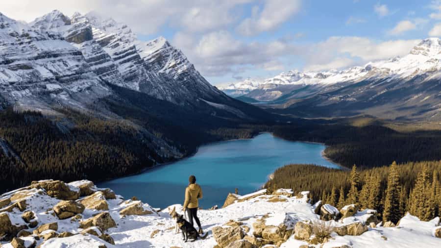 Icefield Parkway, Peyto Lake, Bow Lake & Lake Minnewanka - Exploring Peyto Lake: The Iconic Mountain Reflection