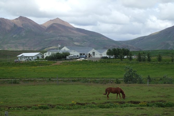 Icelandic Horseback Riding Tour Including Pick Up from Reykjavik - Exploring Laxnes Horse Farm: Icelandic Culture in Every Corner