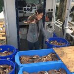 Icy Strait Village Tour and Crab Feast - Foraging in the Forested Property with Wildlife