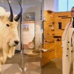 Idaho Falls: Museum of Idaho Entry Ticket - Exploring the Permanent Exhibit: Way Out West