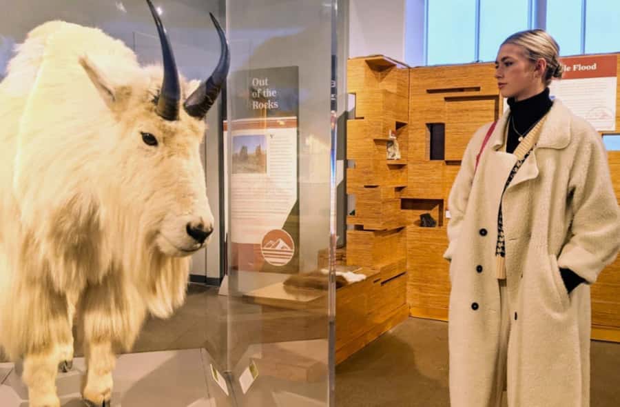 Idaho Falls: Museum of Idaho Entry Ticket - Exploring the Permanent Exhibit: Way Out West