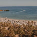 Ierapetra-Makrigialos: Vai Palm Beach, Moni Toplou & Sitia - Scenic Drive through Makry Gialos and Eastern Crete