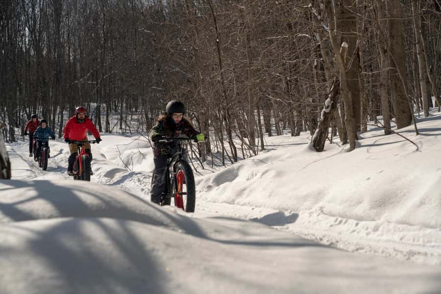 Îles-de-Boucherville: Park Entry with Fat-bike Rental - Exploring the 7 km Marked Trail Through Îles-de-Boucherville