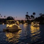 Illuminated Swan Boat Night Ride on Rainbow Lagoon in Long Beach - The Unique Allure of Rainbow Lagoon at Night