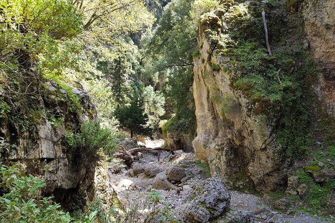 Imbros Hiking and Sfakia Private Tour from Heraklion - Discover the Imbros Gorge: Crete’s Less-Known Treasure