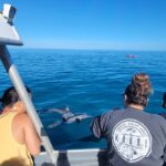 'Imiloa Express N Pali Snorkel Tour - Wildlife Encounters on the Water