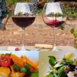 In Depth Chateauneuf-du-Pape - In-Depth Visits to Century-Old Cellars and Historic Sites