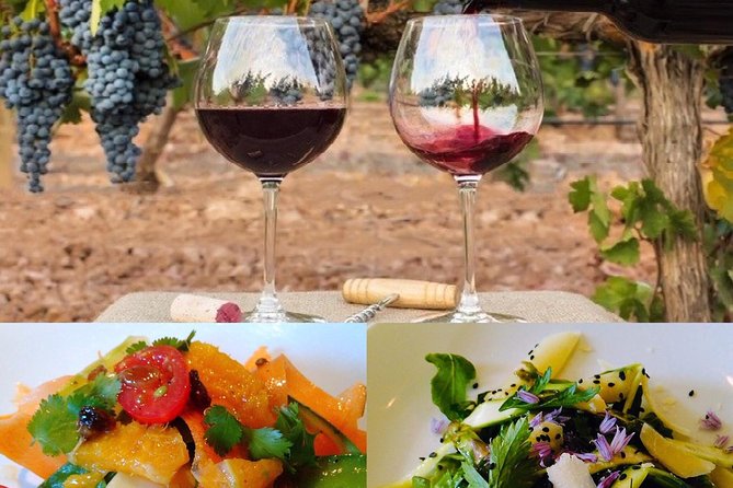 In Depth Chateauneuf-du-Pape - In-Depth Visits to Century-Old Cellars and Historic Sites