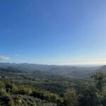 In the heart of Cilento: nourish your soul - Visiting the Sacred Sites of Cilento: Madonna del Carmine and Madonna della Stella