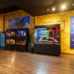 Inbursa Aquarium Entry Ticket with VR Option - The Inbursa Aquarium Location and How to Access It