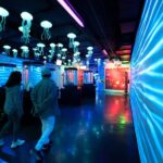 Inbursa Aquarium ticket - Discover Marine Life at the Inbursa Aquariums Tanks