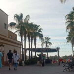 Incredible Private Tour to Todos Santos Magical Town - Scenic drive along the Pacific coast to Todos Santos