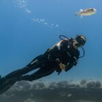 Incredibly Fun 2-Tank Coral Reef South Shore Boat Dive in Oahu from Waikiki - Safety First: Medical and Sobriety Requirements