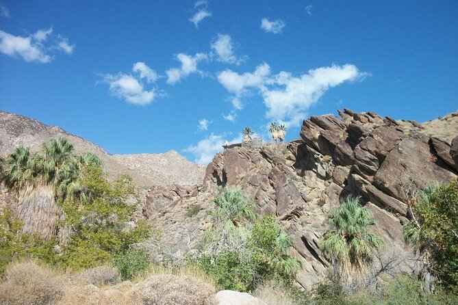 Indian Canyons Hiking Tour by Jeep from Palm Desert - Andreas Canyon Walk: Easy and Educational