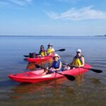 Indian River Clear Bottom Kayak or Paddleboarding Manatee and Dolphin Tour - Choosing Between Kayak and Paddleboard Options