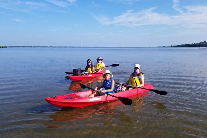 Indian River Clear Bottom Kayak or Paddleboarding Manatee and Dolphin Tour - Choosing Between Kayak and Paddleboard Options