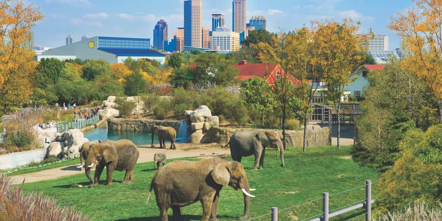 Indianapolis: 3-Day Indy Attraction Pass - Visiting Indianapolis’s Top Museums and Cultural Spots