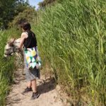 Inspirational Nature Walking Tour with Donkeys in The Hague - The Role of Nature in Promoting Well-Being