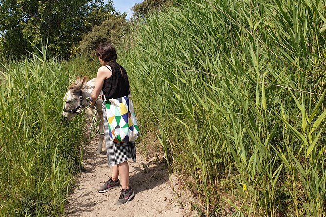 Inspirational Nature Walking Tour with Donkeys in The Hague - The Role of Nature in Promoting Well-Being