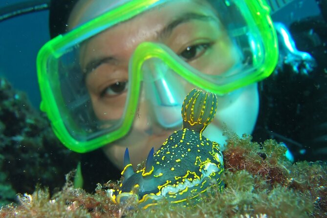 Intro Dive in Dubrovnik - Starting Point at Blue Planet Diving Center in Dubrovnik