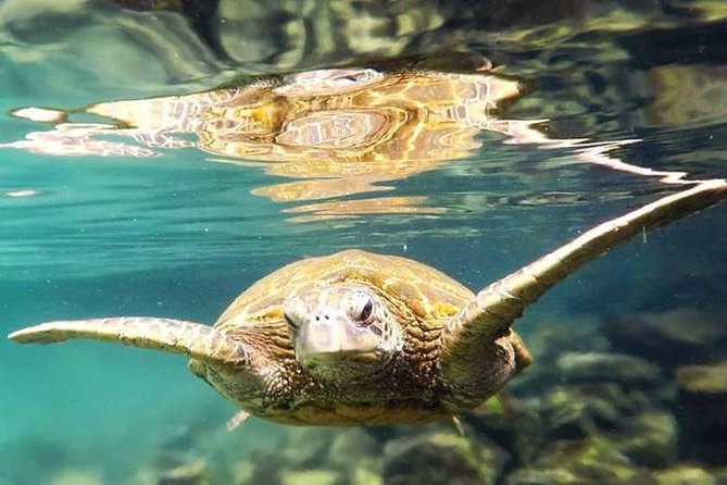 Introductory Beach Scuba Dive - Classroom Instruction and Safety Education