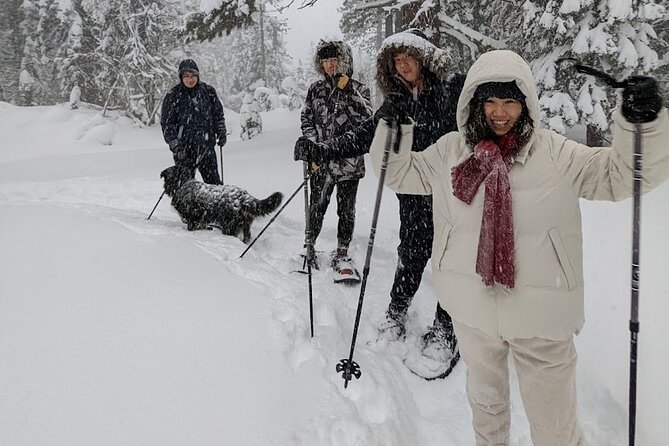 Introductory Guided Snowshoe Tour - The Trail Through Tahoe National Forest
