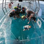 Invisible Boat Snorkeling Tour - Snorkeling and Marine Life Encounters