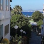 Ischia Private Day Trip from Sorrento with Local Guide and Driver - Arrival at Ischia and Immediate Local Guidance