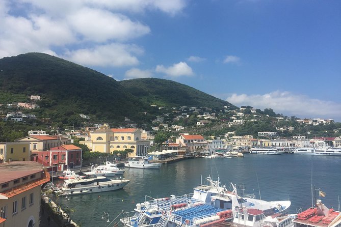 Ischia Private Tour with Food Tastings & Ischia Hotel Pick-Up - Scenic Views from Fontana and Monte Epomeo