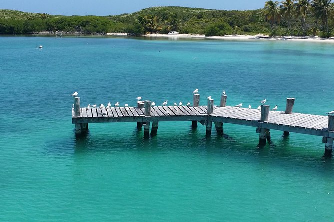 Isla Contoy and Isla Mujeres Tour with Snorkeling from Cancun - Snorkeling at Ixlache Reef—Part of the Famous Mesoamerican Reef System