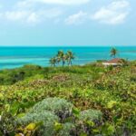 Isla Contoy Eco Adventure - From the Boat to the Reef: What Snorkeling Is Like