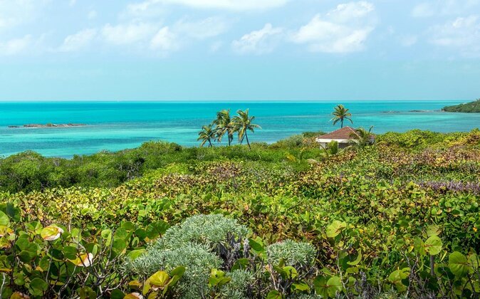Isla Contoy Eco Adventure - From the Boat to the Reef: What Snorkeling Is Like