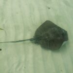 Isla Contoy Private Day Tour, from Cancun - Crossing the Caribbean Sea in Comfort