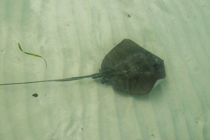 Isla Contoy Private Day Tour, from Cancun - Crossing the Caribbean Sea in Comfort