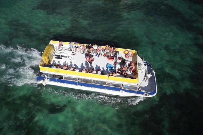 Isla Mujeres Catamaran Open Bar & Transportation from Cancun - Snorkeling at Punta Sam reef: Marine life and equipment