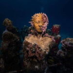 Isla Mujeres: MUSA and the Manchones Reef: 2 Tank Dive Tour - Start at the Aqua Adventures Eco Divers Center in Isla Mujeres