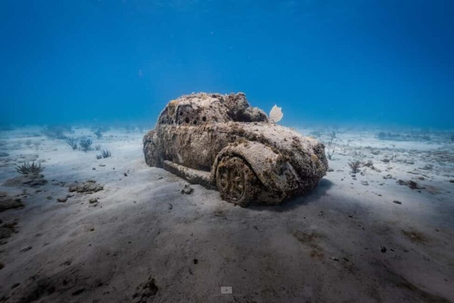 Isla Mujeres - MUSA and the Manchones Reef - Snorkel - Meeting Point and Tour Duration