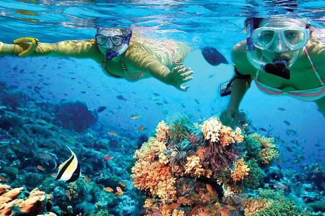 Isla Mujeres sailing tour in catamaran Open Bar& Lunch Included - The Catamaran Sailing Experience in Cancun