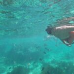Isla Mujeres Snorkeling Adventure at the Underwater Museum - Visiting the Vibrant Manchones and El Farito Reefs
